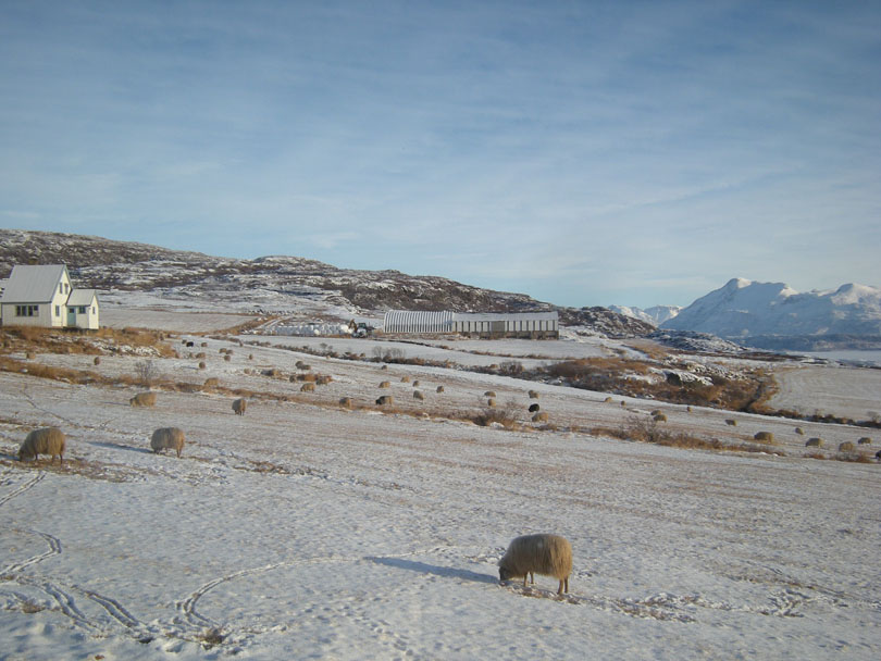 Ipiutaq guest farm, overview to the East