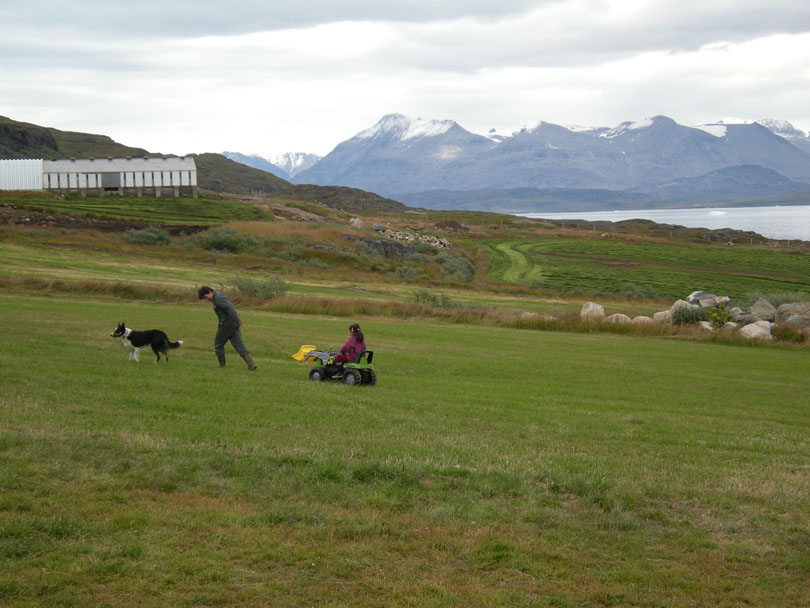 Ipiutaq guest farm, overview to the East