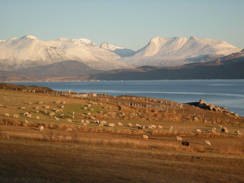 Ipiutaq guest farm, overview to the East