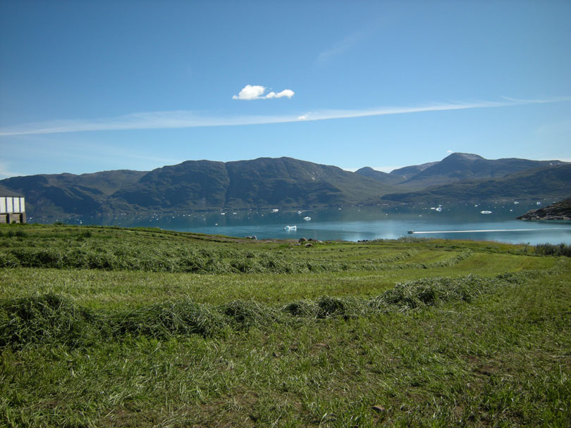 Ipiutaq guest farm, fields