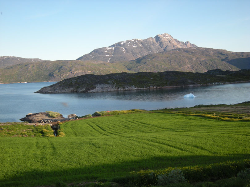 Ipiutaq guest farm, fields