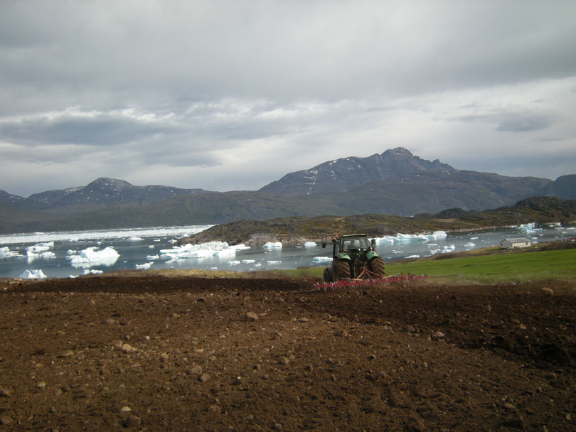 Ipiutaq guest farm, fields on the fjord side, spring