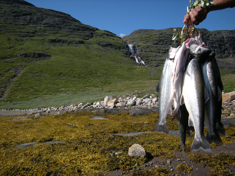 Ipiutaq guest farm, arctic char fishing