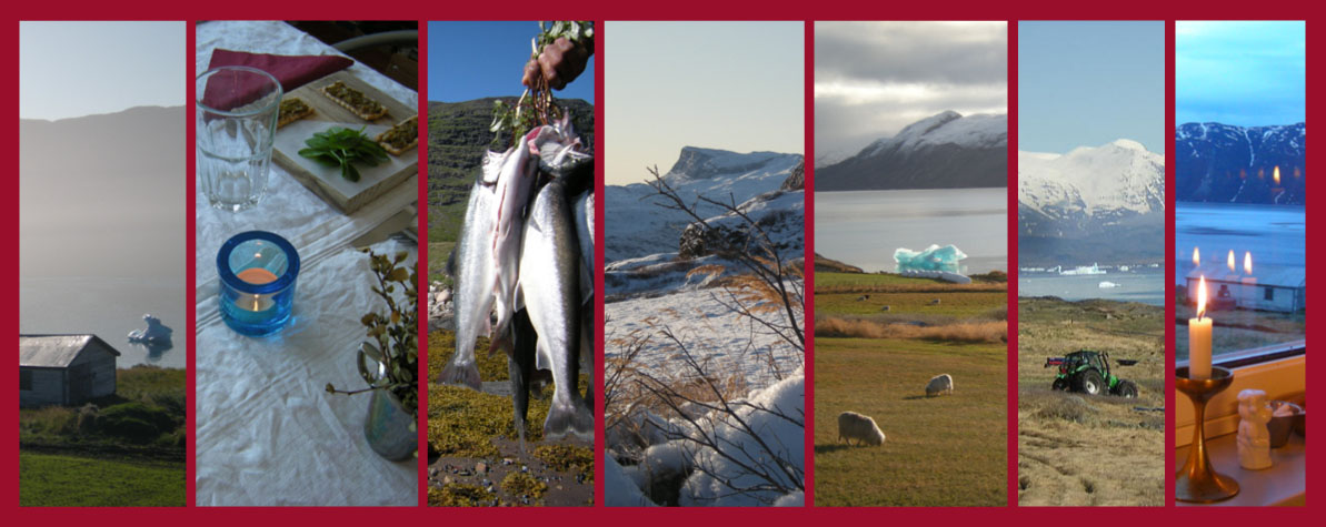 Ipiutaq guest farm, sheep farming, agro-tourism and arctic char fishing