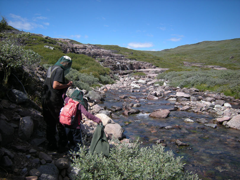 Ipiutaq guest farm, Ilua river