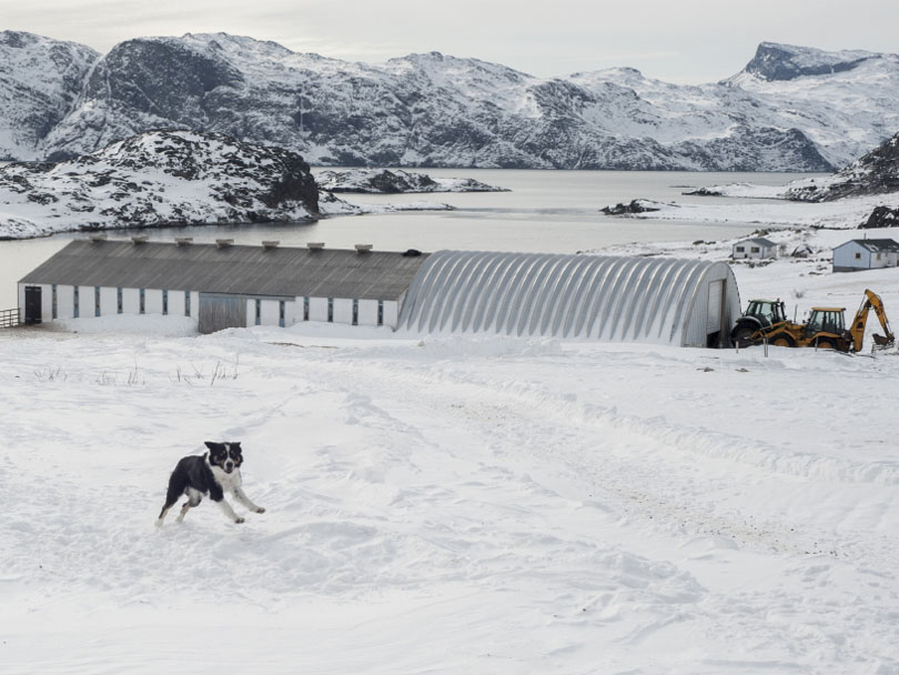 Ipiutaq guest farm, sheepfold, sotrehouse and workshop