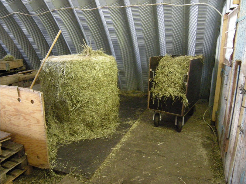 Ipiutaq guest farm, feeding place in the sheepfold