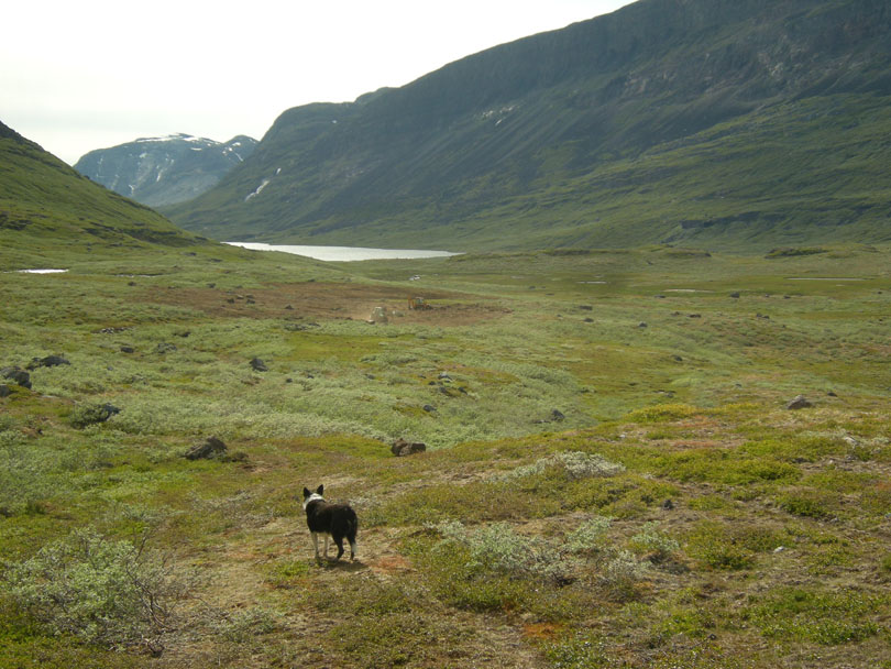 Ipiutaq guest farm, green pastures in the fertile valley Ilua